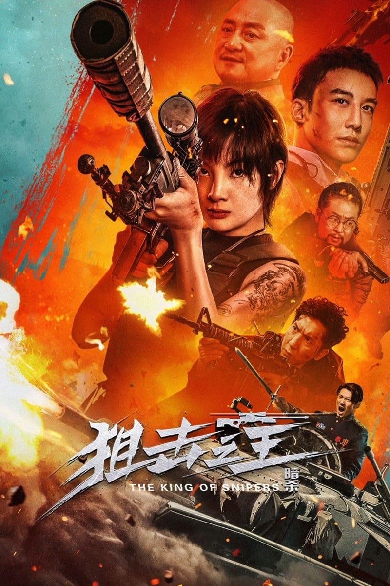 Poster za film  狙击之王：暗杀 