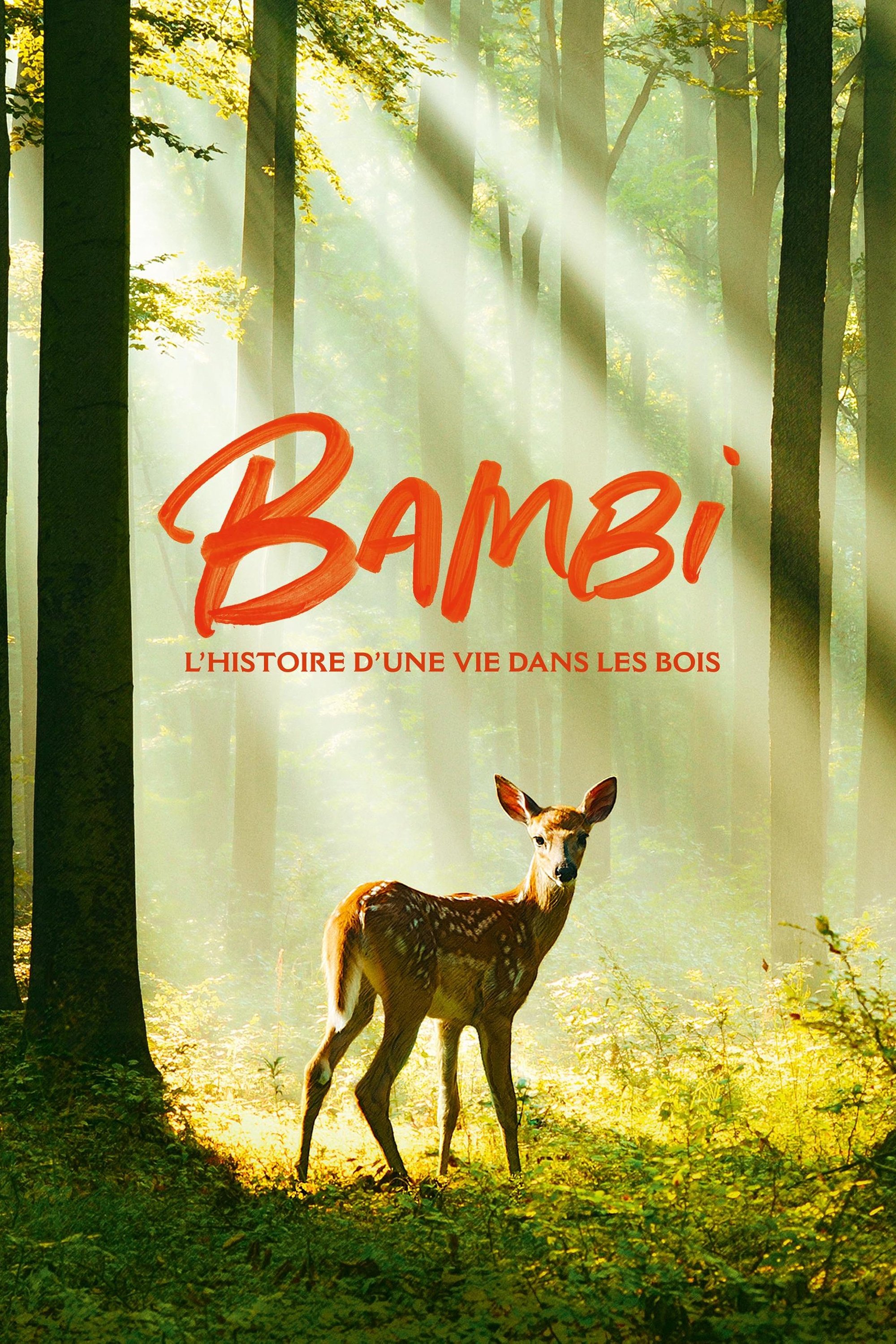 Poster za film  Bambi, l'histoire d'une vie dans les bois 