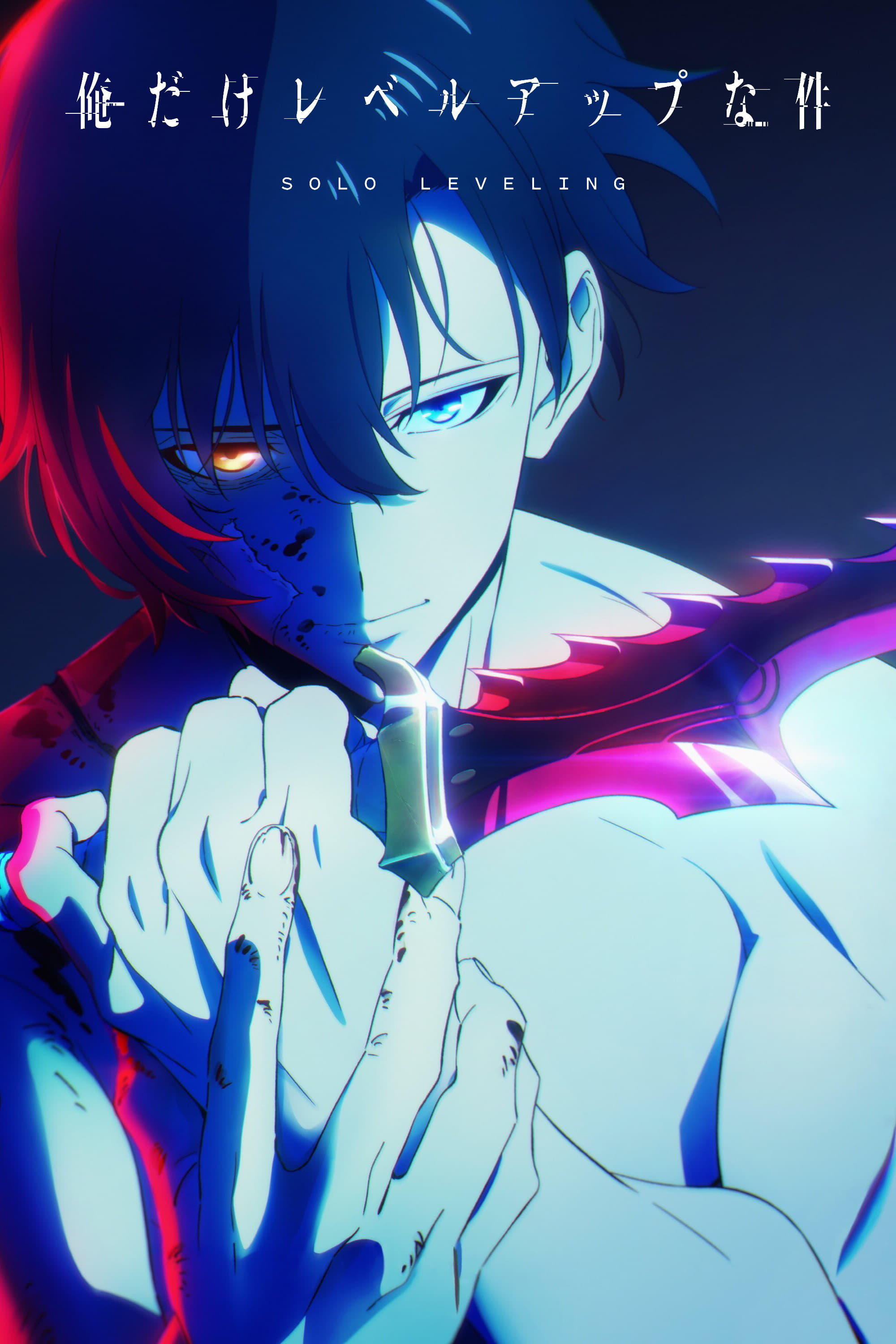 Poster za film  Solo niveliranje 