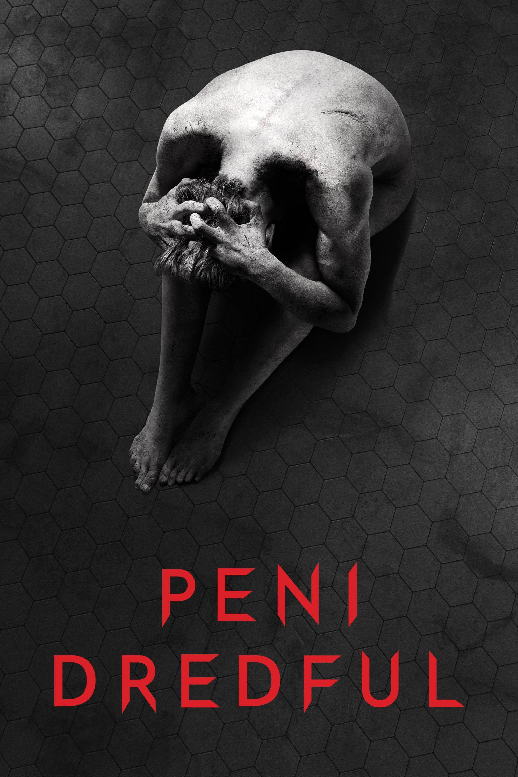 Poster za film  Peni Dredful  2014