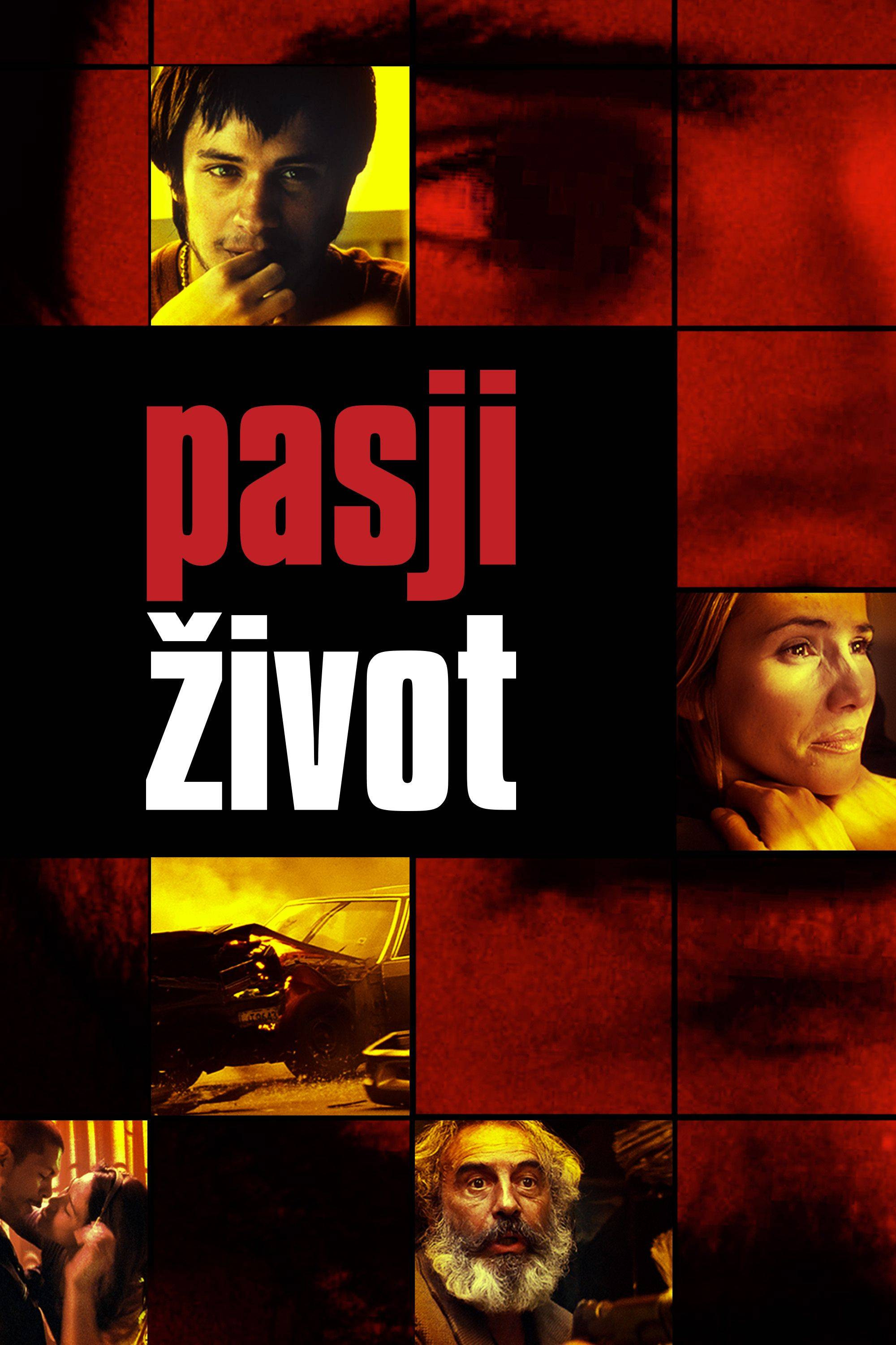 Poster za film  Pasji život  2000